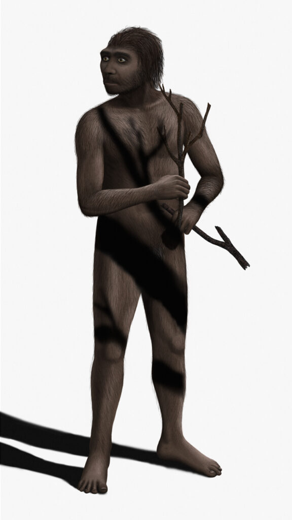Первобытный человек - Реконструкция внешнего вида человека прямоходящего (Homo erectus)